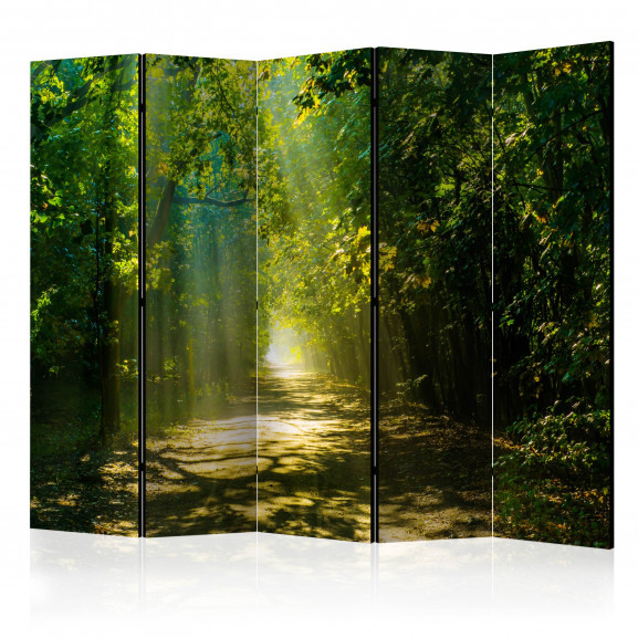 Paravan Road In Sunlight Ii [Room Dividers] 225 cm x 172 cm