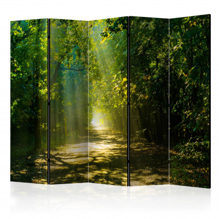 Paravan Road In Sunlight Ii [Room Dividers] 225 cm x 172 cm-01