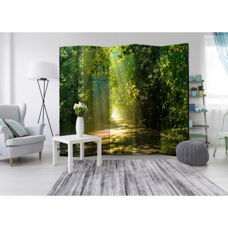 Paravan Road In Sunlight Ii [Room Dividers] 225 cm x 172 cm-01