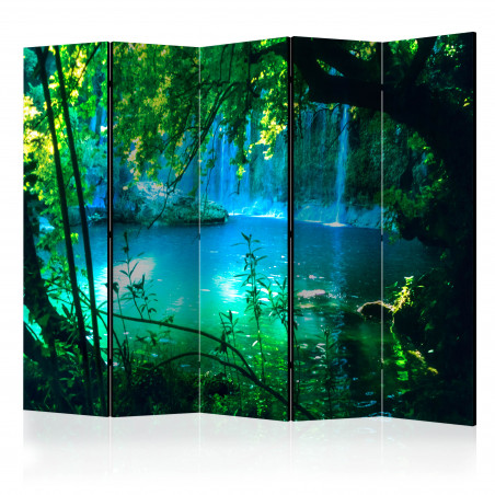 Paravan Kursunlu Waterfalls Ii [Room Dividers] 225 cm x 172 cm-01