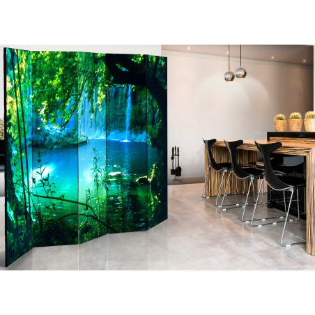 Paravan Kursunlu Waterfalls Ii [Room Dividers] 225 cm x 172 cm-01