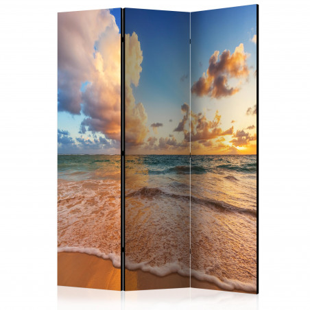 Paravan Morning By The Sea [Room Dividers] 135 cm x 172 cm-01