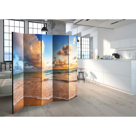 Paravan Morning By The Sea Ii [Room Dividers] 225 cm x 172 cm-01