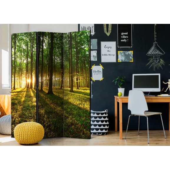 Paravan Morning In The Forest [Room Dividers] 135 cm x 172 cm