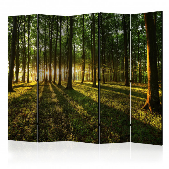 Paravan Morning In The Forest Ii [Room Dividers] 225 cm x 172 cm