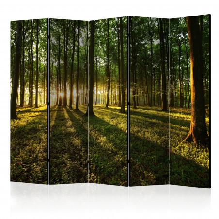 Paravan Morning In The Forest Ii [Room Dividers] 225 cm x 172 cm-01