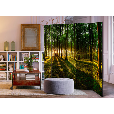 Paravan Morning In The Forest Ii [Room Dividers] 225 cm x 172 cm-01