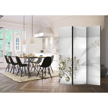 Paravan Diamond Corridor [Room Dividers] 135 cm x 172 cm-01