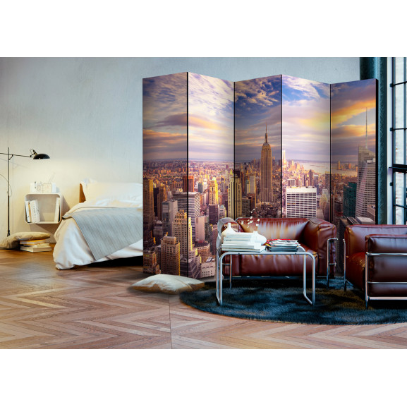 Paravan New York Morning Ii [Room Dividers] 225 cm x 172 cm
