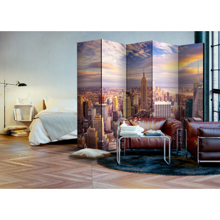 Paravan New York Morning Ii [Room Dividers] 225 cm x 172 cm-01