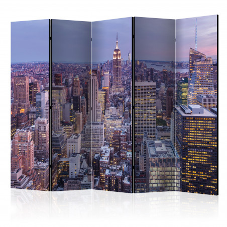 Paravan Evening City Ii [Room Dividers] 225 cm x 172 cm-01