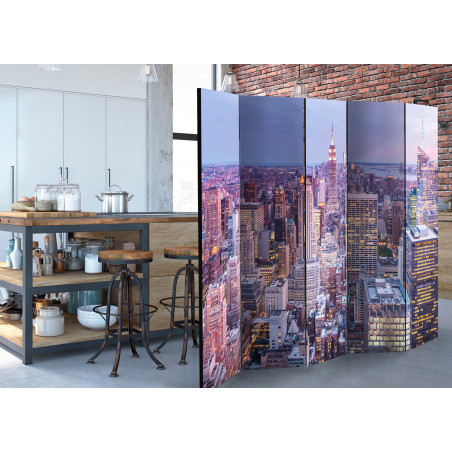 Paravan Evening City Ii [Room Dividers] 225 cm x 172 cm-01