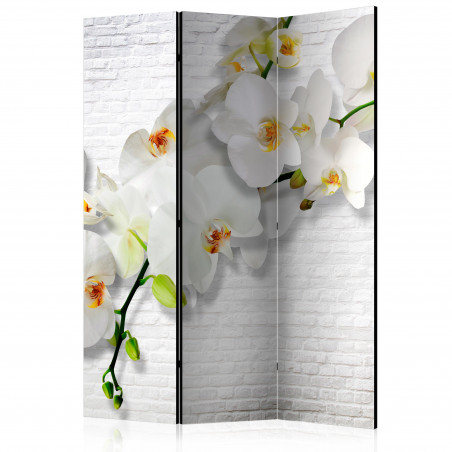 Paravan The Urban Orchid [Room Dividers] 135 cm x 172 cm-01