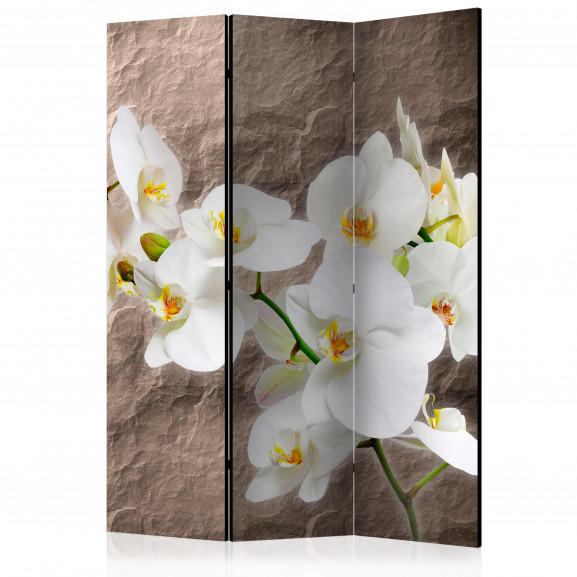 Paravan Impeccability Of The Orchid [Room Dividers] 135 cm x 172 cm