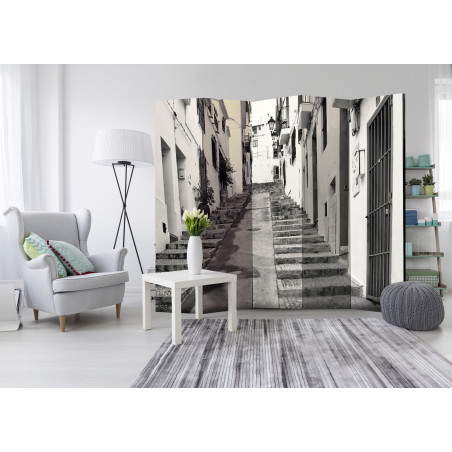 Paravan Altea Old Town Ii [Room Dividers] 225 cm x 172 cm-01