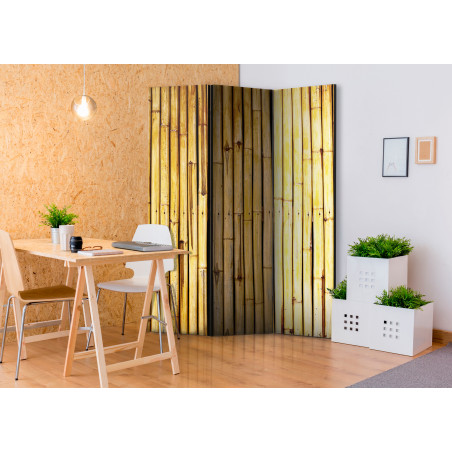 Paravan Bamboo Garden [Room Dividers] 135 cm x 172 cm-01