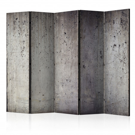Paravan Grey City [Room Dividers] 225 cm x 172 cm-01
