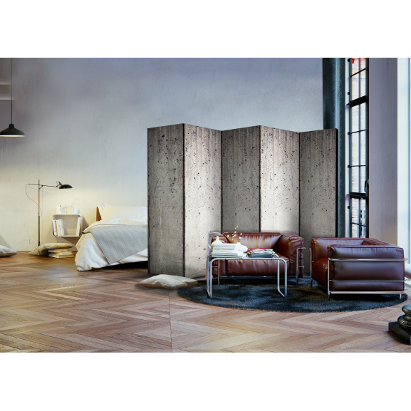 Paravan Grey City [Room Dividers] 225 cm x 172 cm Artgeist