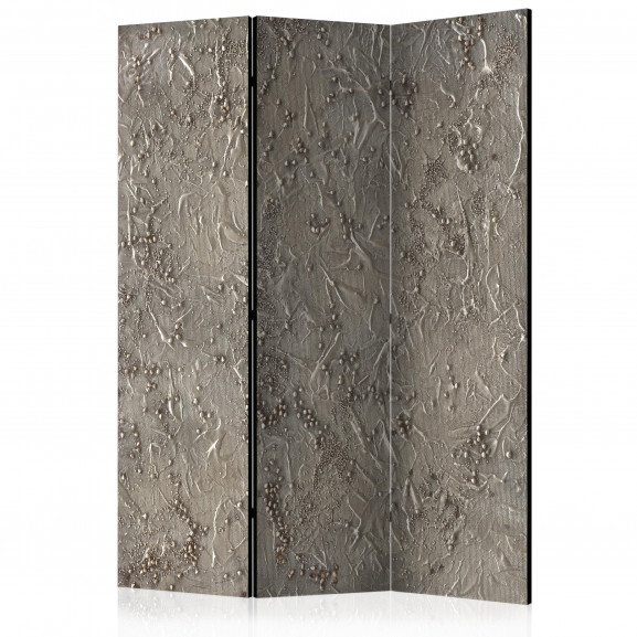 Paravan Silver Serenade [Room Dividers] 135 cm x 172 cm