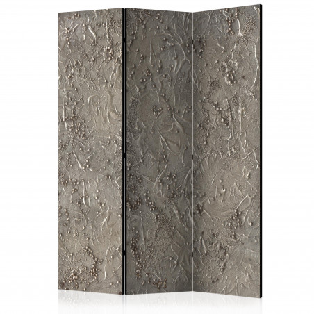 Paravan Silver Serenade [Room Dividers] 135 cm x 172 cm-01