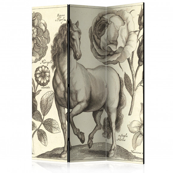 Paravan Horse [Room Dividers] 135 cm x 172 cm