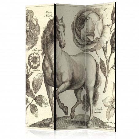 Paravan Horse [Room Dividers] 135 cm x 172 cm-01