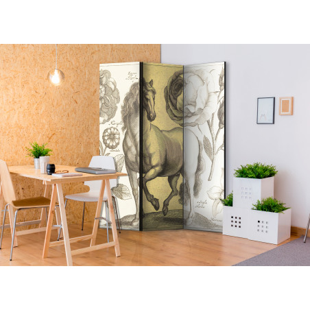 Paravan Horse [Room Dividers] 135 cm x 172 cm-01