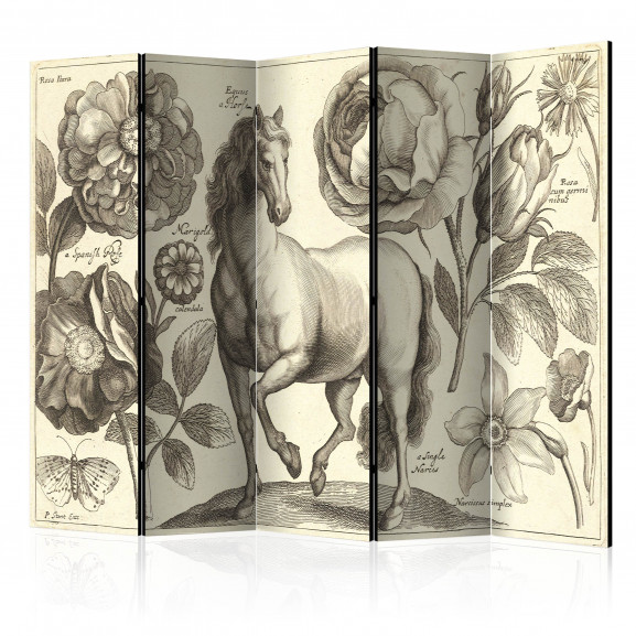 Paravan Horse Ii [Room Dividers] 225 cm x 172 cm