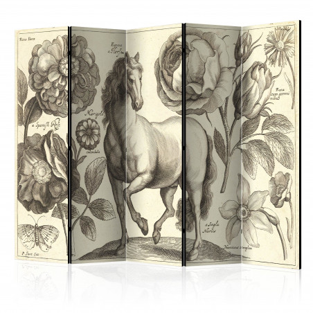 Paravan Horse Ii [Room Dividers] 225 cm x 172 cm-01