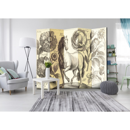 Paravan Horse Ii [Room Dividers] 225 cm x 172 cm-01