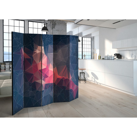 Paravan Abstract Bird Ii [Room Dividers] 225 cm x 172 cm-01