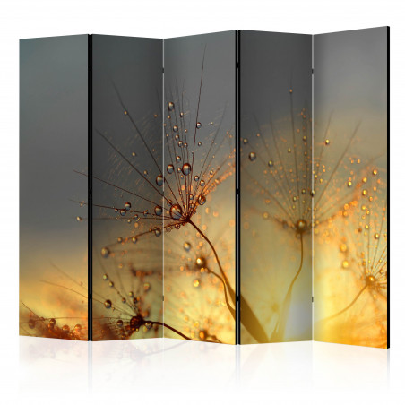 Paravan Summer Solstice Ii [Room Dividers] 225 cm x 172 cm-01