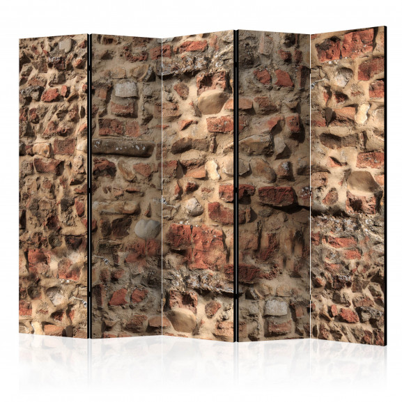Paravan Ancient Wall Ii [Room Dividers] 225 cm x 172 cm
