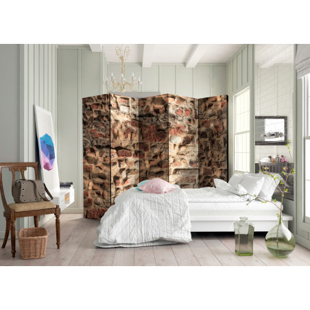 Paravan Ancient Wall Ii [Room Dividers] 225 cm x 172 cm-01