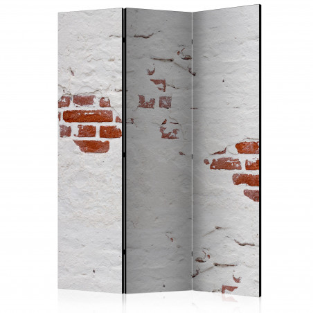 Paravan Stony Secret [Room Dividers] 135 cm x 172 cm-01