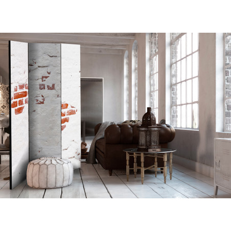 Paravan Stony Secret [Room Dividers] 135 cm x 172 cm-01