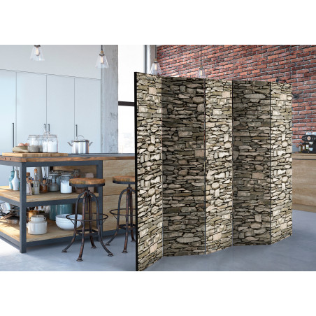 Paravan Stony Enchantment Ii [Room Dividers] 225 cm x 172 cm-01