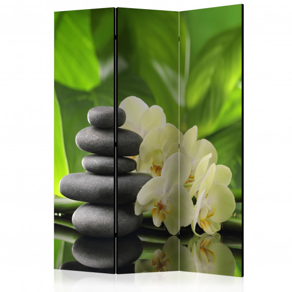 Paravan Spa Garden [Room Dividers] 135 cm x 172 cm