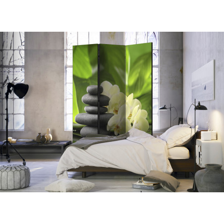 Paravan Spa Garden [Room Dividers] 135 cm x 172 cm-01