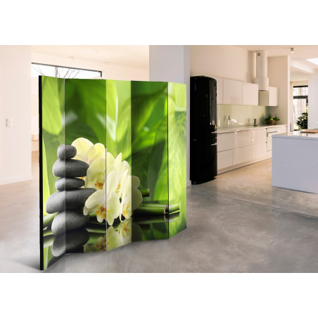 Paravan Spa Garden Ii [Room Dividers] 225 cm x 172 cm-01