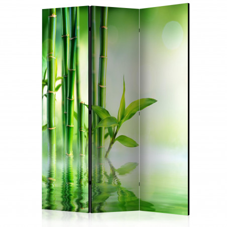 Paravan Green Bamboo [Room Dividers] 135 cm x 172 cm-01