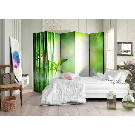 Paravan Green Bamboo Ii [Room Dividers] 225 cm x 172 cm-01