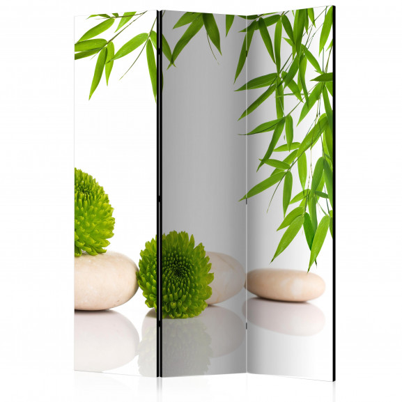 Paravan Green Relax [Room Dividers] 135 cm x 172 cm