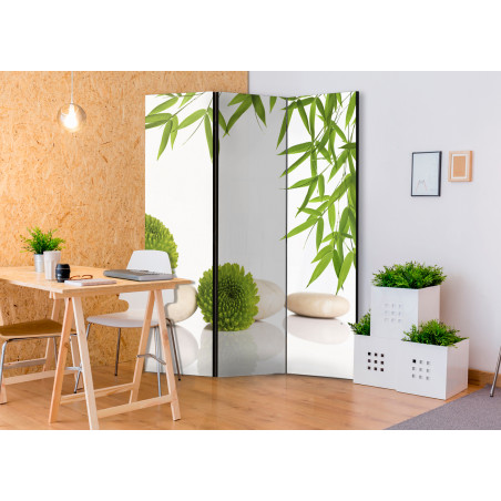 Paravan Green Relax [Room Dividers] 135 cm x 172 cm-01