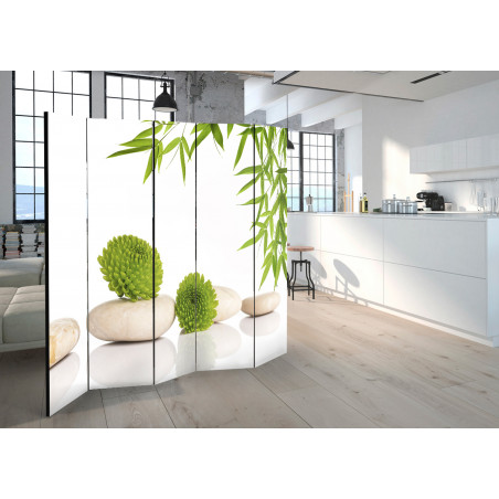 Paravan Green Relax Ii [Room Dividers] 225 cm x 172 cm-01