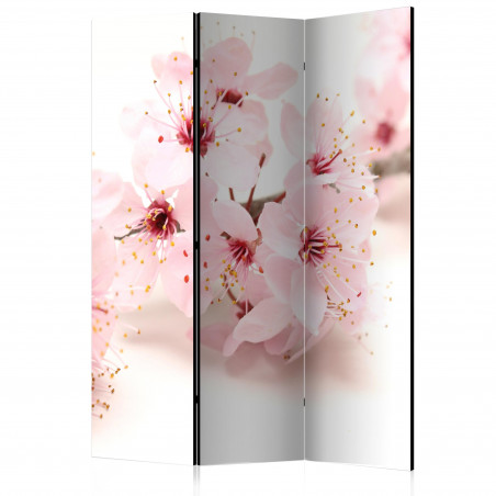 Paravan Cherry Blossom [Room Dividers] 135 cm x 172 cm-01