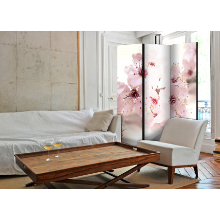 Paravan Cherry Blossom [Room Dividers] 135 cm x 172 cm-01