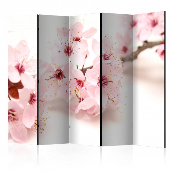 Paravan Cherry Blossom Ii [Room Dividers] 225 cm x 172 cm