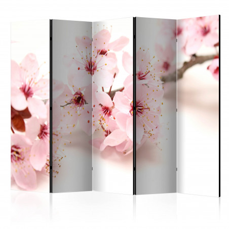 Paravan Cherry Blossom Ii [Room Dividers] 225 cm x 172 cm-01
