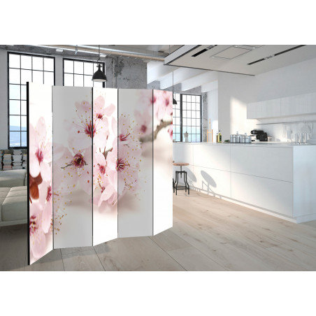 Paravan Cherry Blossom Ii [Room Dividers] 225 cm x 172 cm-01
